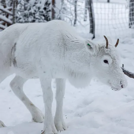 Apartamento North Sky 18b By Hilla Levi