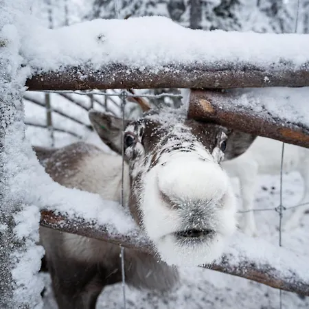 North Sky 18b By Hilla