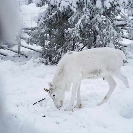 Apartamento North Sky 18b By Hilla *