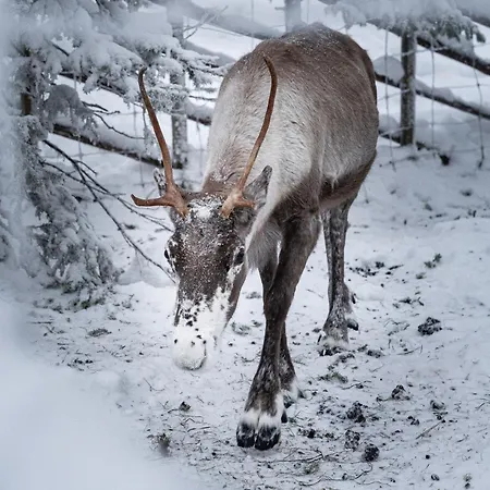 North Sky 18b By Hilla Apartamento Levi