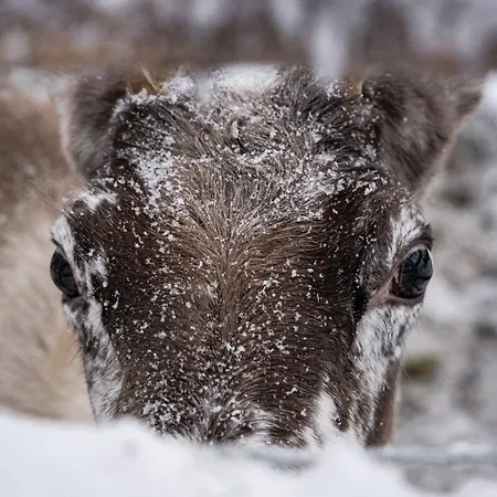 Apartamento North Sky 18b By Hilla Levi
