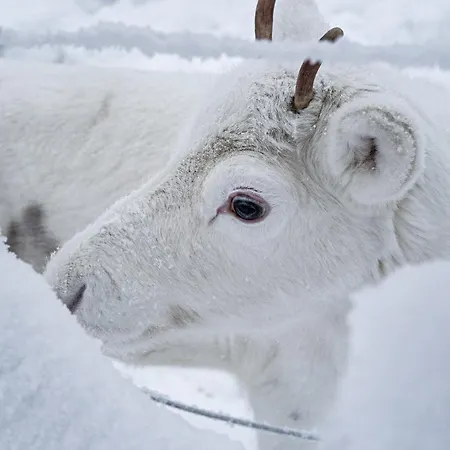 Apartamento North Sky 18b By Hilla