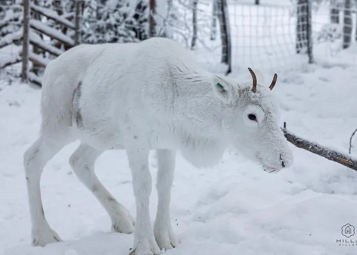 Apartament North Sky 18b By Hilla Levi