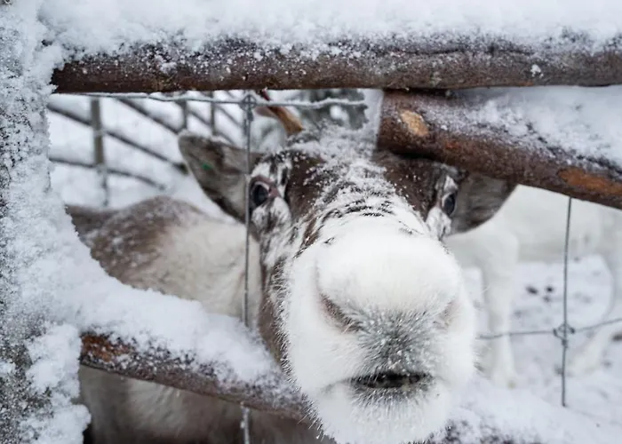 North Sky 18b By Hilla