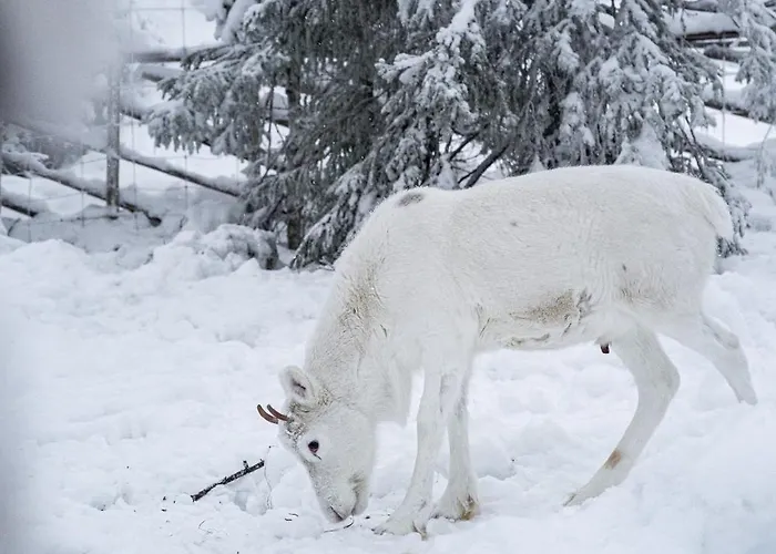 Apartament North Sky 18b By Hilla *