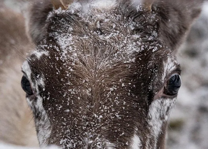 Apartament North Sky 18b By Hilla Levi