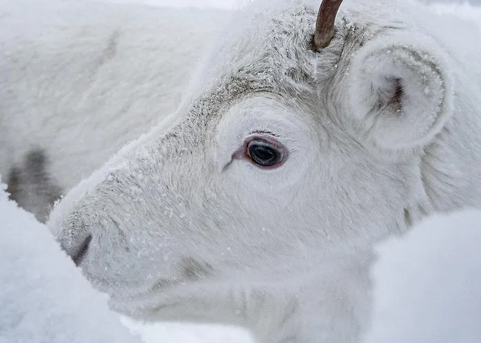 Apartament North Sky 18b By Hilla