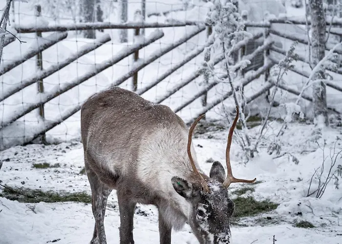 North Sky 18b By Hilla Apartament *